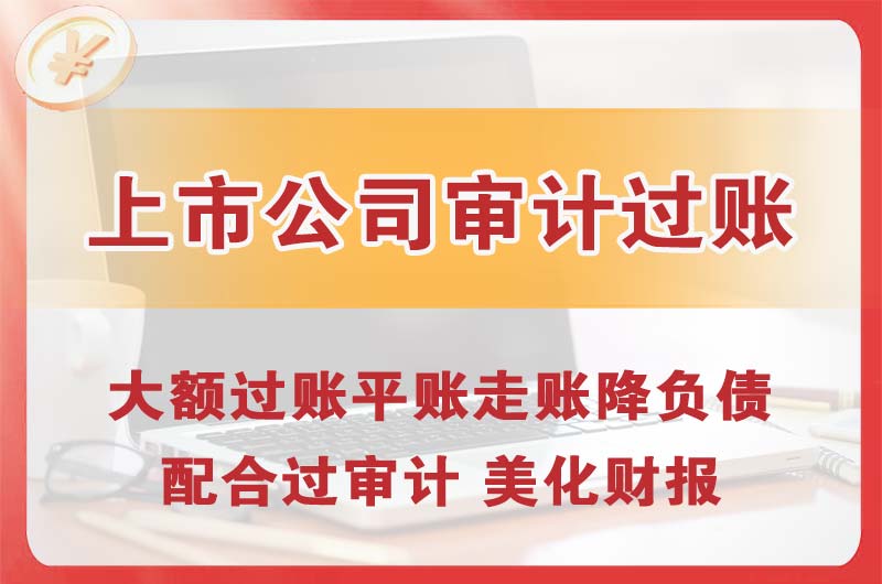 连南上市公司审计过账