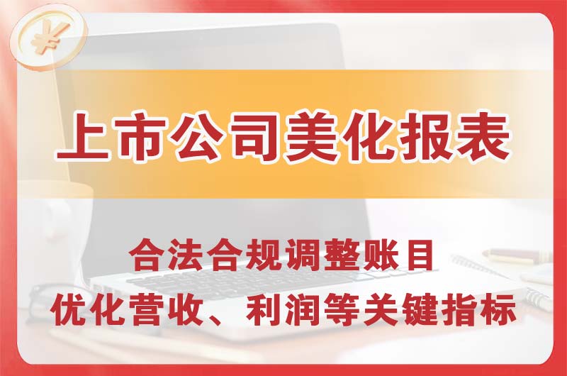 连南上市公司美化报表